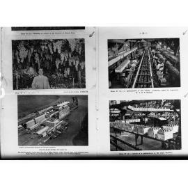 Argentina Fruit Industry