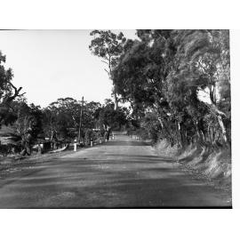 Road near Birdwood