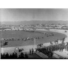 Cattle Show at the Royal Adelaide Show
