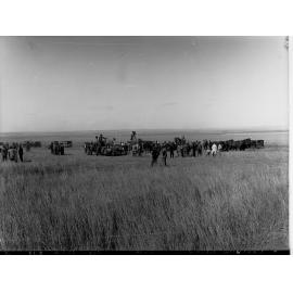 Lake View Field Trials  Crowd in the field with harvesters showing a camera crew