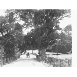 Horse and carriage on a road near Mitcham