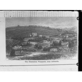 Sketch of Clarendon Vineyard