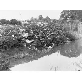 Soil Erosion, River Torrens, showing lots of garbage on riverbank