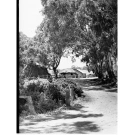 Myponga Showing Mud Hut and Shed