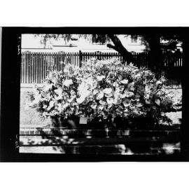 National Flower Day Festival held in Adelaide on the 21st September 1949