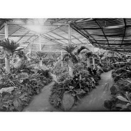 Greenhouse, Botanic Gardens
