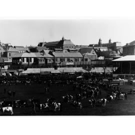Grand Parade at the Royal Adelaide Show