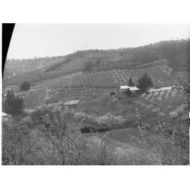 Playford's Gardens, 'Drysdale', Debneys Road, Norton Summit