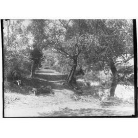 View in Mount Lofty Ranges, showing boy sitting on rock