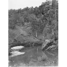 Creek in Mount Lofty ranges