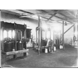 Olive oil making,  man working olive presses, Stonyfell Olive Company  