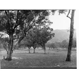 Melrose Show Grounds