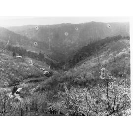 Cherryville Showing Valley and Housing