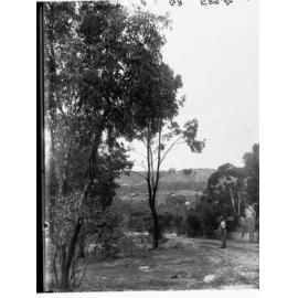 Bush View at Blackwood