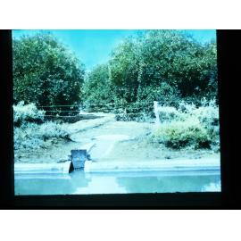 Irrigation Channel on the River Murray