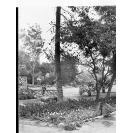 Botanic Gardens Adelaide