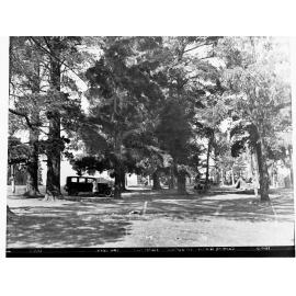 Mount Gambier Camping Ground