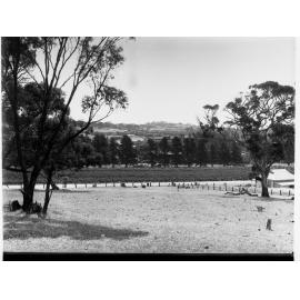 Angaston View from Yalumba Wine Cellars