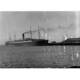 Steamship - The Ceramic