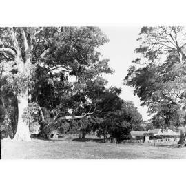 Farmhouse at Willunga