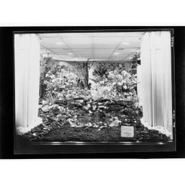 Flower day - exhibit which won fourth prize