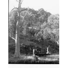 View from Owienagin Creek