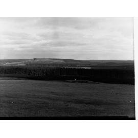 Mount Burr Woods and Forests