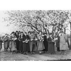 Group Among the Almond Blossoms