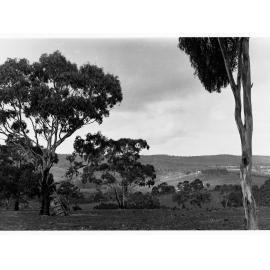 Land and tree clearing at Minda Home's Craigburn Farm, c1925