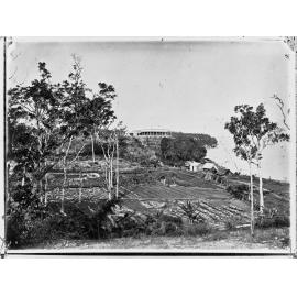 Northern Territory,  area unknown, possibly Darwin