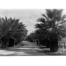 Adelaide Zoological Gardens