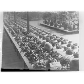 Fruit Exhibition - Royal Adelaide Show