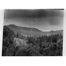 Rural scene overlooking forest - Mount Gambier