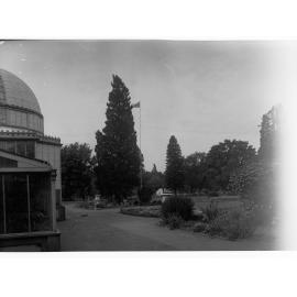 Botanic Gardens showing part of the conservatory