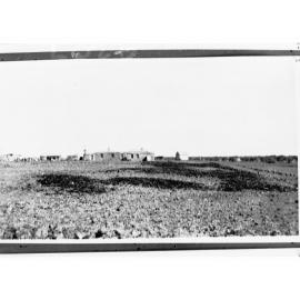 Farm houses - area unknown