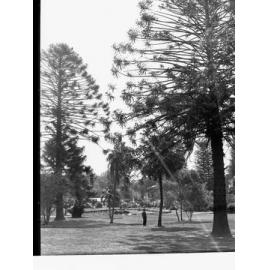 Man Standing in Botanic Gardens Adelaide