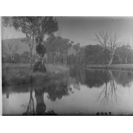 Wilpena Pound East Boundary