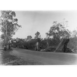 Sandy Creek and Lyndoch showing orad