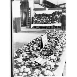Exhibition of potatoes