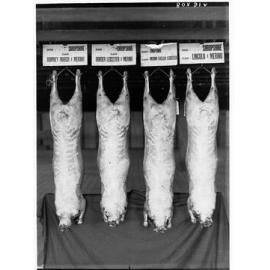 Carcasses hanging in a cool room - Agricultural Department