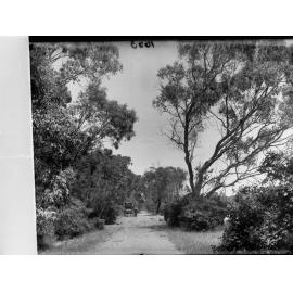 Old road at Clare showing horse and carriage