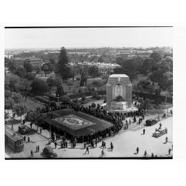 Floral carpet, North Terrace