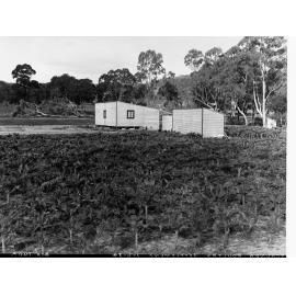 Echunga Poultry Settlement - Showing House and Tin Shed