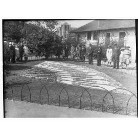 Flower Display Showing People, Flower Day