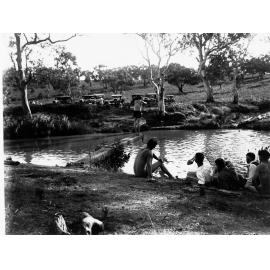 Mosquito Creek Swimming Pool 