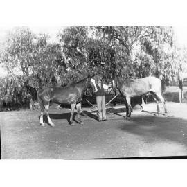 Man Holding Two Horses