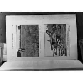 Rye Grass Industry in New Zealand