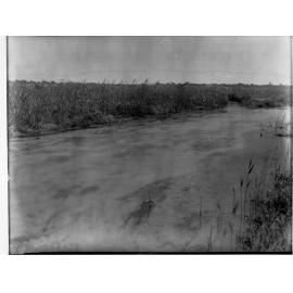 South East drainage - Eight Mile Creek