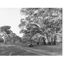 Wilpena Pound Entrance to Flinders Ranges