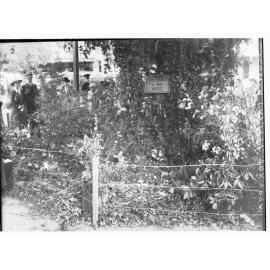 Babes in the woods flower display, Flower Day